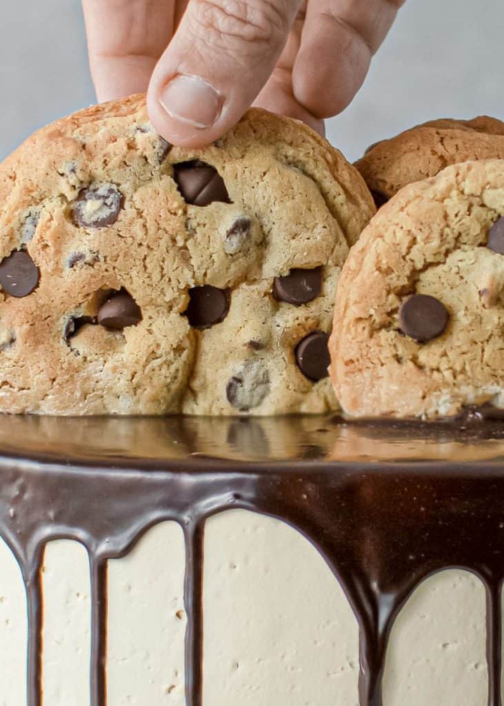 Delicious Cookie Dough Cake The Scran Line