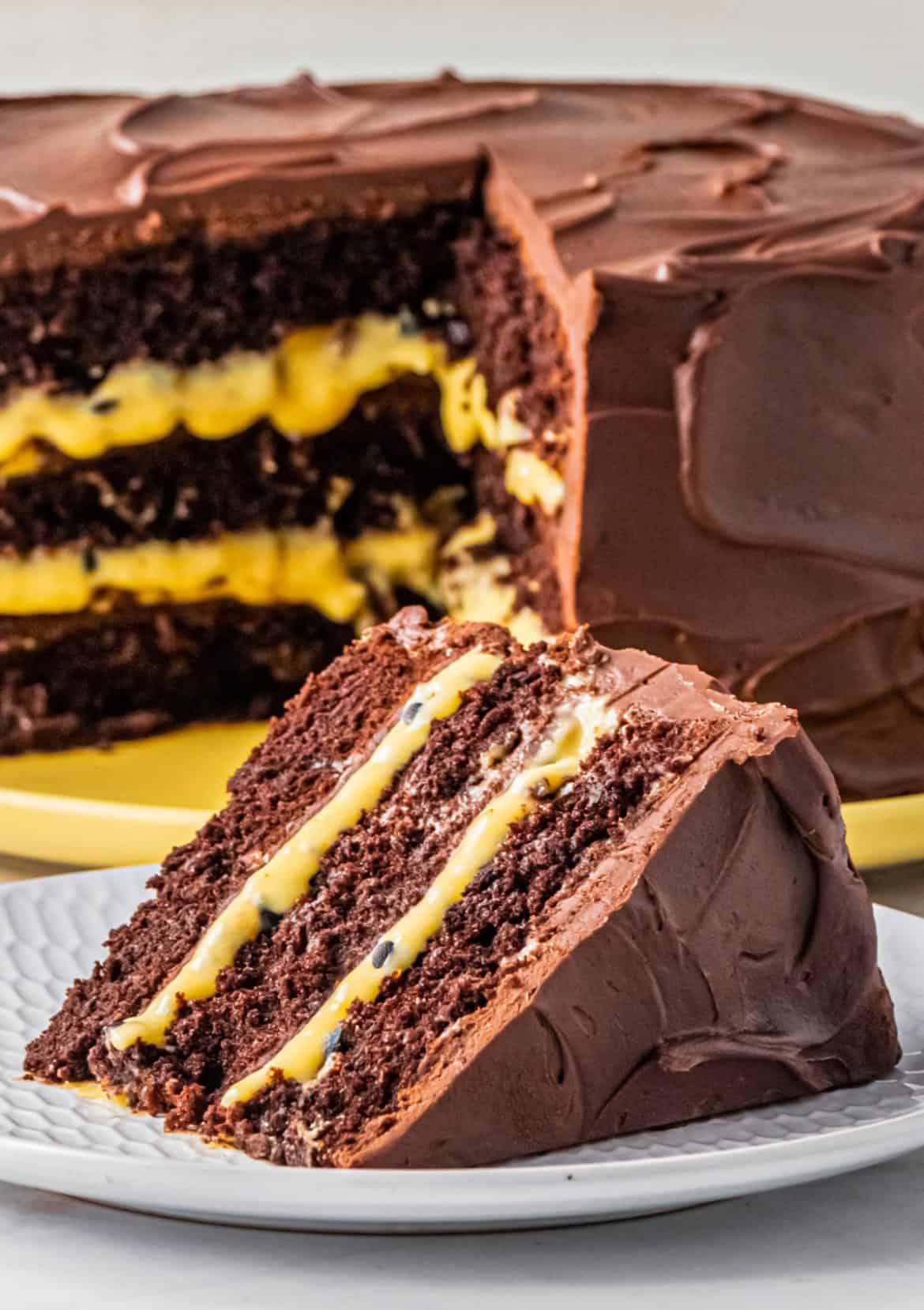 Slice of Chocolate And Passionfruit Cake.