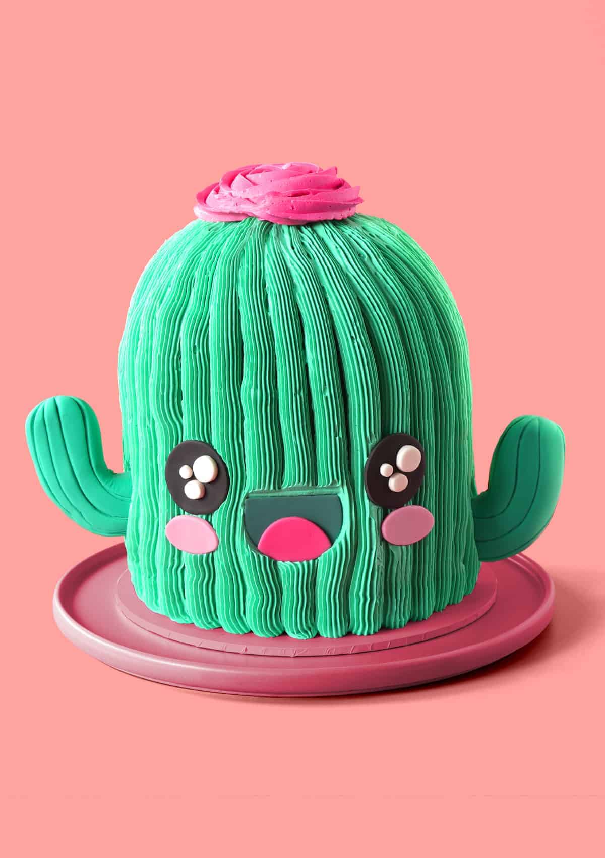 Cactus Themed Birthday Cake Topper. Custom Name and Age. Girl, Boy. First  Birthday Party. Party Decorations. Second. Third. Ten. 18th. 30th. - Etsy