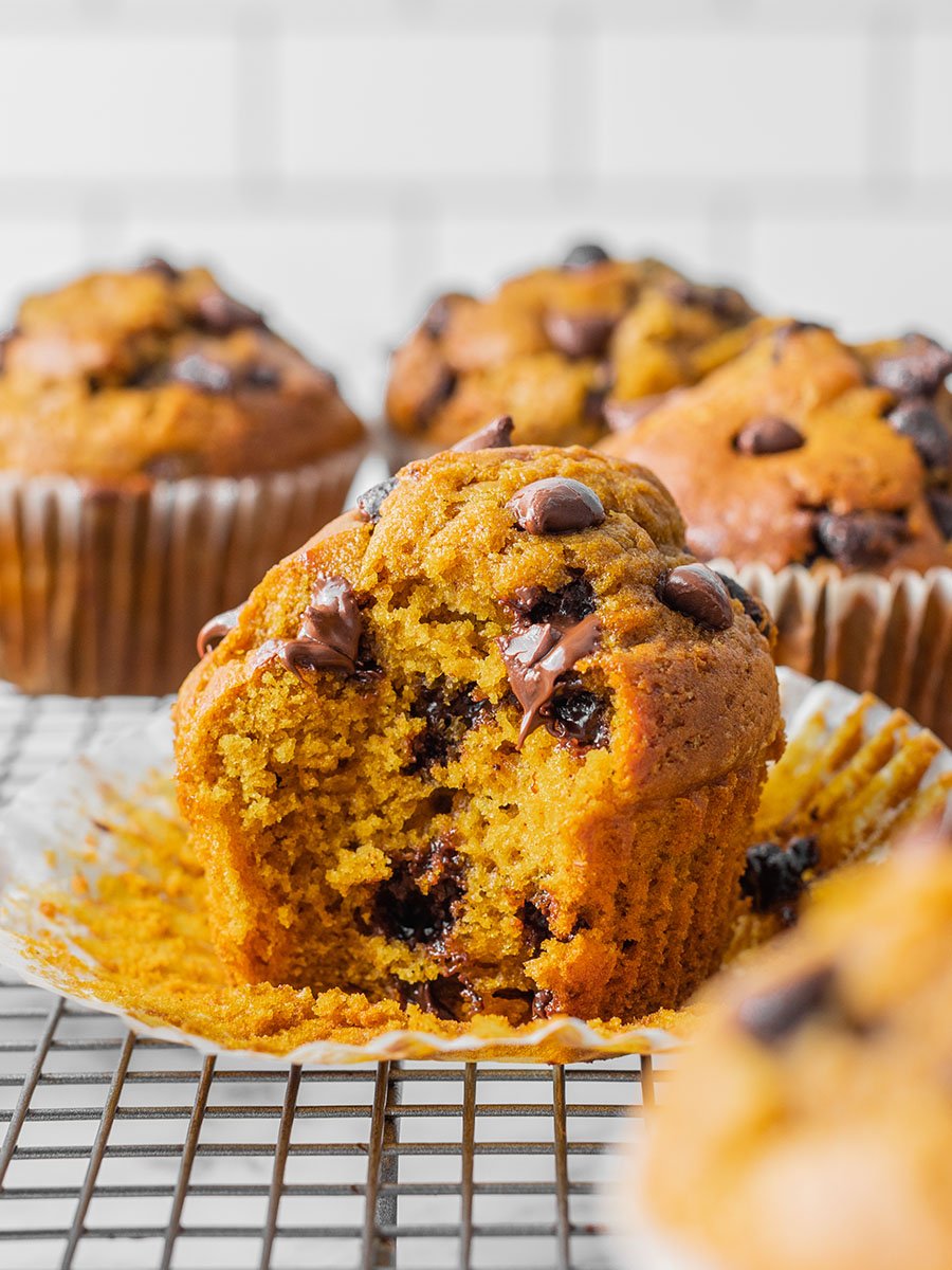 Chocolate Chip Pumpkin Muffins The Scranline