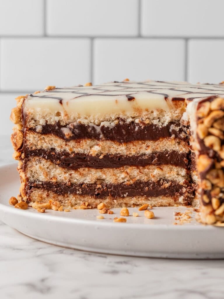 A close up side shot of a chocolate and hazelnut cake sliced showing all the layers