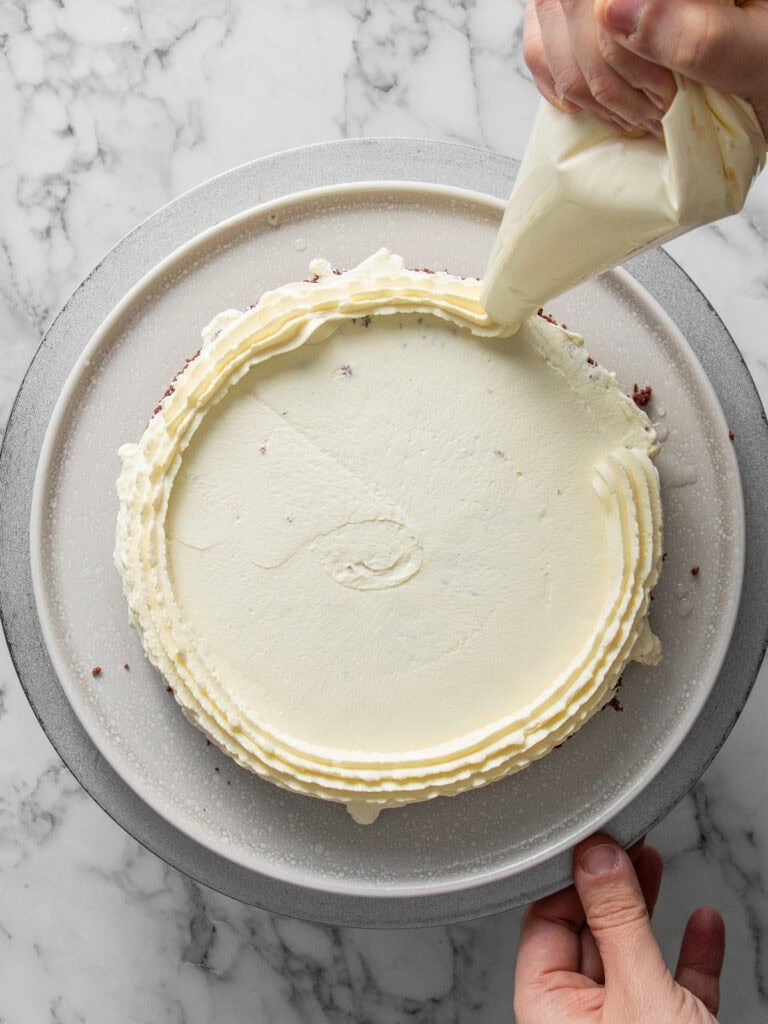 Piping a ring of Chantilly around the cake layer to create a perimeter