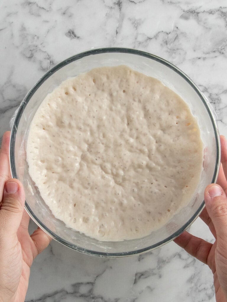 What the foolish looks like after a day of fermenting in the fridge