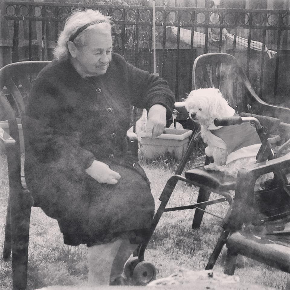 Nicks yiayia in a coat sits outdoors next to a small dog wearing clothes, both surrounded by plastic chairs and light smoke or mist, with a fence visible in the background.