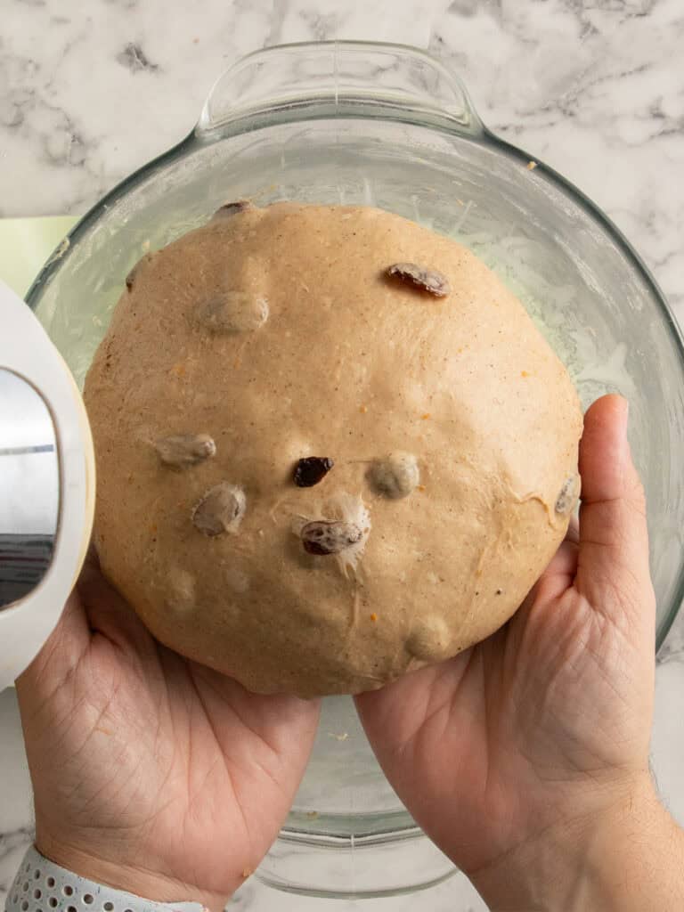 Two hands holding a round ball of dough with raisins, above a glass mixing bowl on a marble countertop.