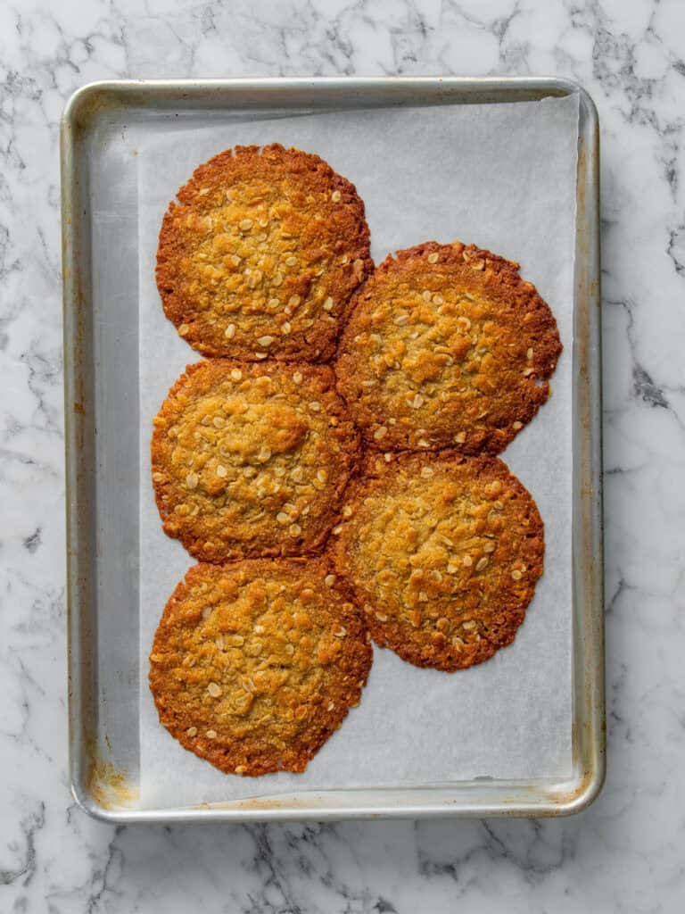 Five large, golden-brown Anzac biscuits are arranged closely together on a parchment-lined baking sheet, set on a white marble surface.
