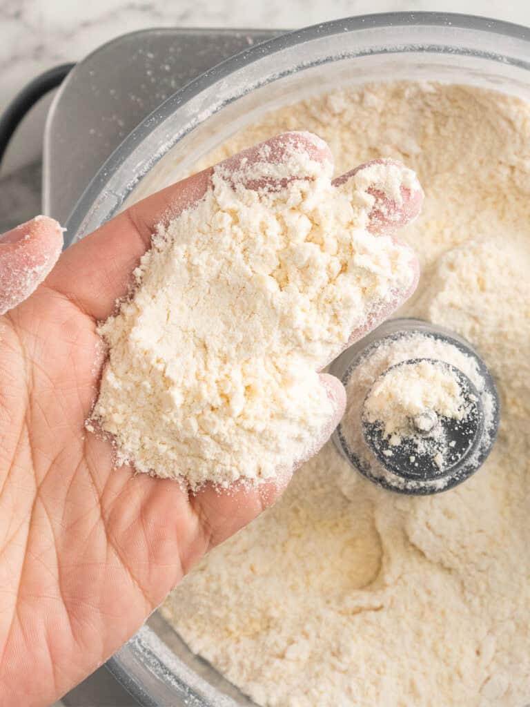 A hand holds up a small pile of flour and butter mixture over a food processor bowl filled with the same crumbly mixture, showing coarse texture for baking.