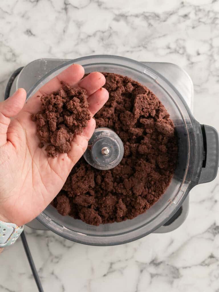 A hand holds a handful of crumbly chocolate dough above a food processor filled with similar dough, on a marble countertop.
